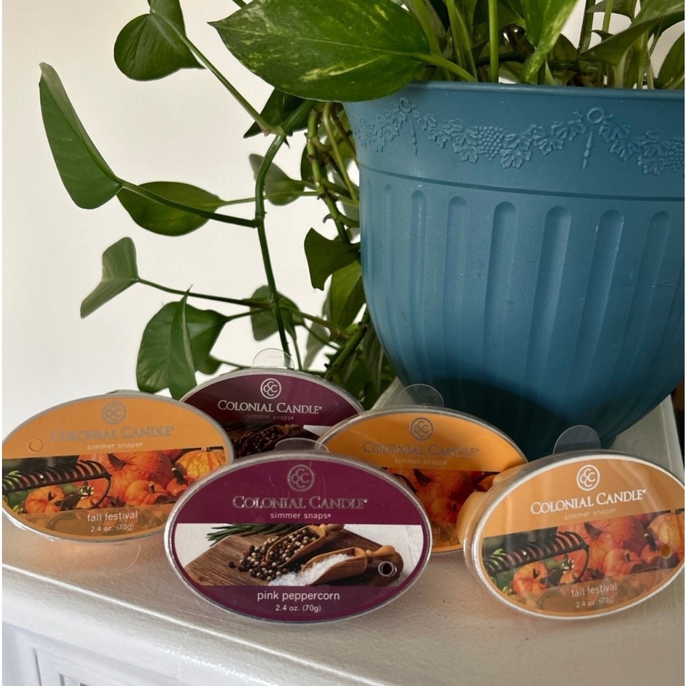 Brand New Colonial Candle Melts ‘Simmer Snaps’ set of 5 - NWT